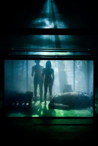 Tempesta, Anagoor, regia di Simone Derai, 2009, Tempesta, Anagoor, regia di Simone Derai, 2009, regia di Simone Derai, con Anna Bragagnolo, Pierantonio Bragagnolo, studio del movimento Simone Derai, Anna Bragagnolo, riprese video Marco Menegoni, Moreno Callegari, Simone Derai, montaggio e regia video Simone Derai, Marco Menegoni, suono Marco Menegoni, Simone Derai, Moreno Callegari, canti e voce Paola Dallan, Marco Menegoni, consulenza storica e iconografica Professor Silvio D’Amicone, scrittura Simone Derai, Eloisa Bressan, Produzione Anagoor, prima rappresentazione VIE scena contemporanea, Modena 13 ottobre 2009, Premio Scenario 2009, foto di Serena Pea