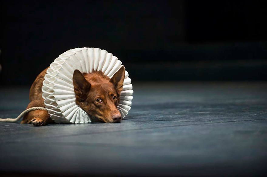 I Due Gentiluomoni di Verona, di William Shakespeare, versione italiana e regia di Giorgio Sangati, scene di Alberto Nonnato, luci di Cesare Agoni, costumi di Gianluca Sbicca, con Fausto Cabra, Ivan Alovisio, Camilla Semino Favro, Antonietta Bello, Luciano Roman, Gabriele Falsetta, Paolo Giangrasso, Ivan Olivieri, Giovanni Battista Storti, Chiara Stoppa, Alessandro Mor, Diego Facciotti, e con la partecipazione straordinaria di Charlie, assistente alla regia Valeria De Santis, produzione Ctb Centro Teatrale Bresciano, Teatro Stabile Del Veneto-Teatro Nazionale, foto di scena Serena Pea