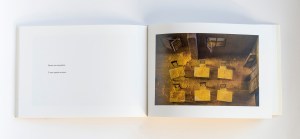 Serena Pea, Songül, La Grande Illusion, 2018. Songül è il racconto ispirato alla storia vera di una maestra, qui indicata con un nome di fantasia, che nel 2014, a ventidue anni, parte per il servizio civile obbligatorio nella Turchia dell’est, al confine con la Siria. Un reportage fotografico a distanza, al chilometro zero della graphic novel, dove le parole della protagonista, estratte dalle mail che lei e Serena Pea si sono scambiate durante tre anni, assumono, in un inglese scarno e semplificato, la forma telegrafica della didascalia accompagnando una favola per immagini onirica e, per contrasto, straordinariamente realistica. Le fotografie che illustrano il racconto sono state realizzate a partire dai modellini appositamente creati dallo scenografo Alberto Nonnato e grazie a Guido Scarabottolo – che, oltre ad impaginare il volume, ne firma la presentazione – sono ora un libro, il primo per l’autrice e, a inaugurare la collana “Kismet”, il primo libro fotografico per le produzioni librarie La Grande Illusion. Il progetto Songül è stato dapprima una mostra esposta nel 2017 a Padova nella collettiva In/Out Spazi d’Arte e, successivamente, in Mirabilia, Il segno della contemporaneità nelle opere di artisti under 35. Stampato in offset, con caratteri Arial Narrow, il 15 marzo 2018 dalla Fantigrafica di Cremona su carta Fedrigoni Tatami White 150 g in una tiratura commerciale di 800 copie, il libro è stato rilegato ad album e confezionato in brossura filo refe con copertina in cartoncino Woodstock Giallo 285 g e sovracoperta in carta Fedrigoni Bodonia Avorio 145 g dalla Legatoria Venturini di Cremona.