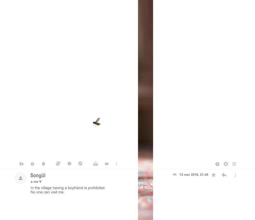 © Serena Pea Songul 7