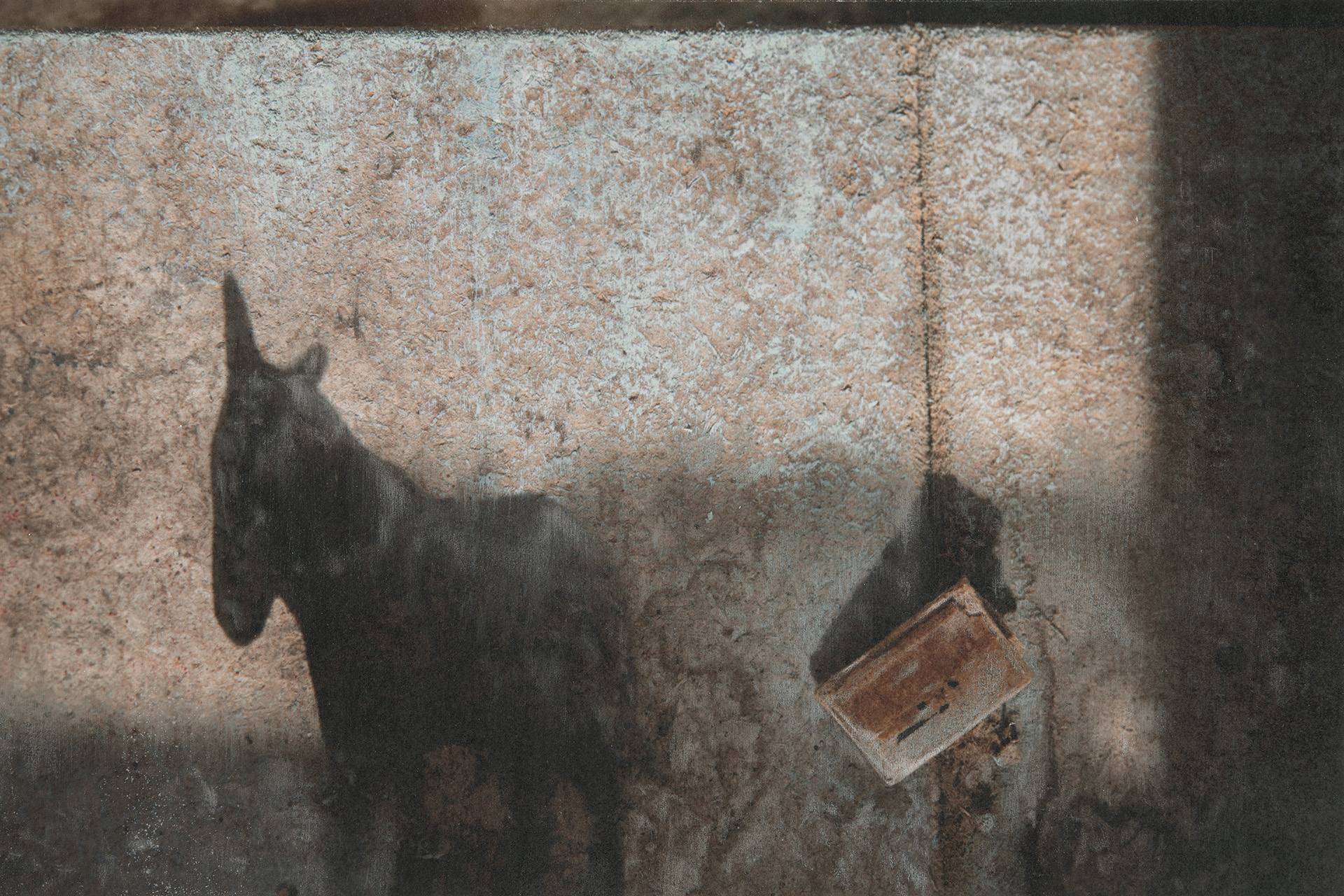 Balocchi, Serena Pea, 2024